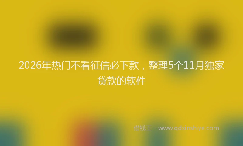 2026年热门不看征信必下款，整理5个11月独家贷款的软件