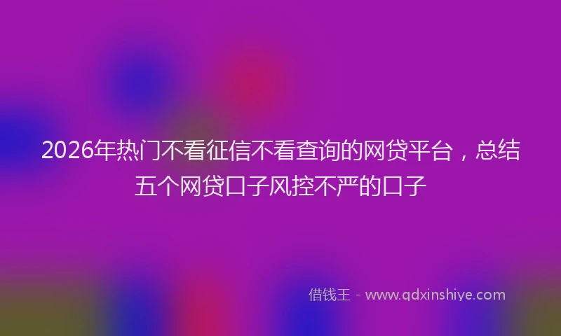 2026年热门不看征信不看查询的网贷平台，总结五个网贷口子风控不严的口子