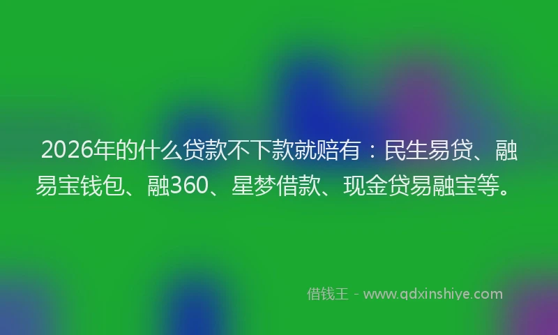 2026年的什么贷款不下款就赔有：民生易贷、融易宝钱包、融360、星梦借款、现金贷易融宝等。