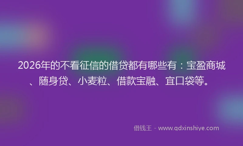 2026年的不看征信的借贷都有哪些有：宝盈商城、随身贷、小麦粒、借款宝融、宜口袋等。