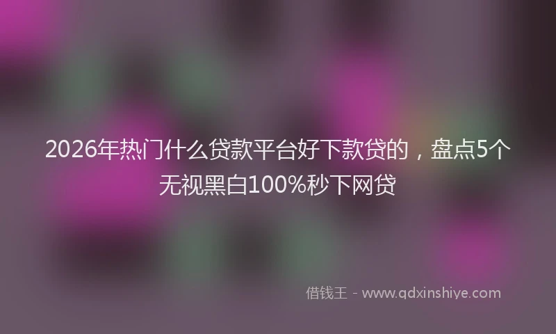 2026年热门什么贷款平台好下款贷的，盘点5个无视黑白100%秒下网贷