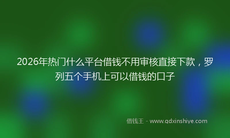2026年热门什么平台借钱不用审核直接下款，罗列五个手机上可以借钱的口子