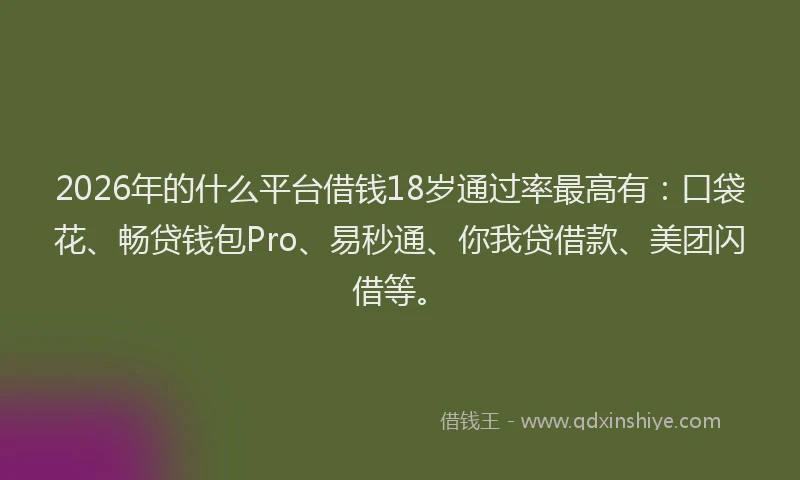 2026年的什么平台借钱18岁通过率最高有：口袋花、畅贷钱包Pro、易秒通、你我贷借款、美团闪借等。