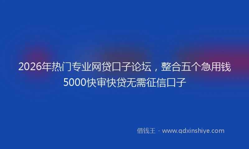 2026年热门专业网贷口子论坛，整合五个急用钱5000快审快贷无需征信口子