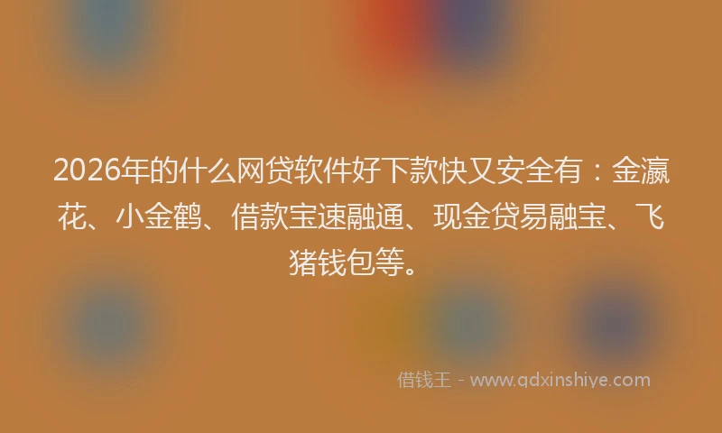2026年的什么网贷软件好下款快又安全有：金瀛花、小金鹤、借款宝速融通、现金贷易融宝、飞猪钱包等。