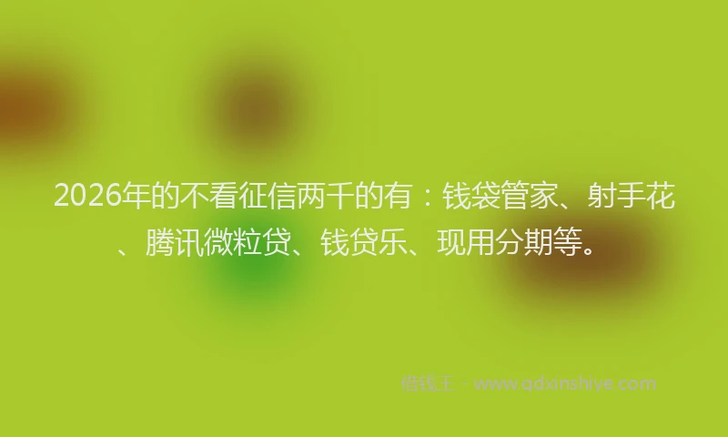 2026年的不看征信两千的有：钱袋管家、射手花、腾讯微粒贷、钱贷乐、现用分期等。