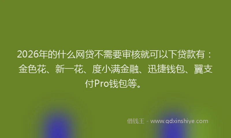 2026年的什么网贷不需要审核就可以下贷款有：金色花、新一花、度小满金融、迅捷钱包、翼支付Pro钱包等。