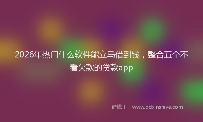 2026年热门什么软件能立马借到钱，整合五个不看欠款的贷款app