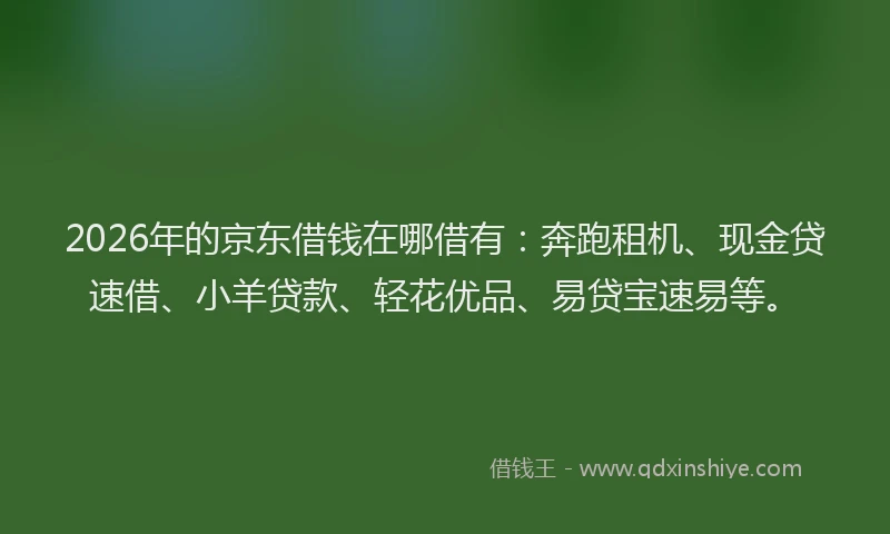 2026年的京东借钱在哪借有：奔跑租机、现金贷速借、小羊贷款、轻花优品、易贷宝速易等。
