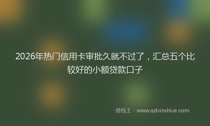 2026年热门信用卡审批久就不过了，汇总五个比较好的小额贷款口子