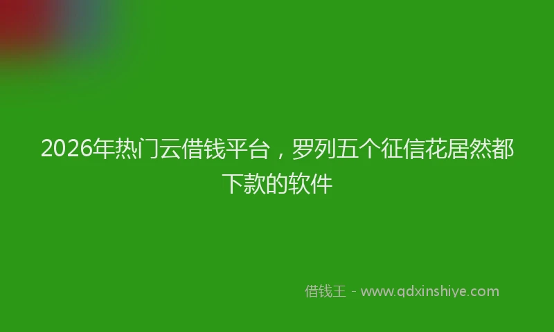 2026年热门云借钱平台，罗列五个征信花居然都下款的软件