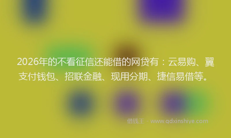 2026年的不看征信还能借的网贷有：云易购、翼支付钱包、招联金融、现用分期、捷信易借等。