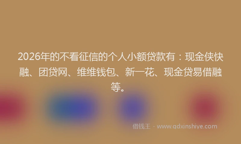 2026年的不看征信的个人小额贷款有：现金侠快融、团贷网、维维钱包、新一花、现金贷易借融等。