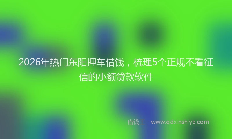 2026年热门东阳押车借钱，梳理5个正规不看征信的小额贷款软件