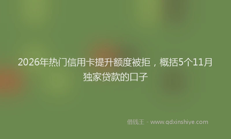 2026年热门信用卡提升额度被拒，概括5个11月独家贷款的口子