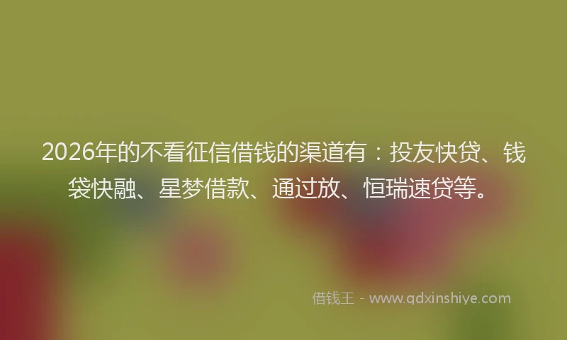 2026年的不看征信借钱的渠道有：投友快贷、钱袋快融、星梦借款、通过放、恒瑞速贷等。