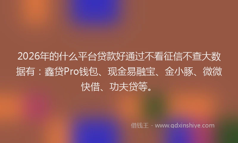 2026年的什么平台贷款好通过不看征信不查大数据有：鑫贷Pro钱包、现金易融宝、金小豚、微微快借、功夫贷等。
