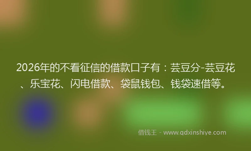 2026年的不看征信的借款口子有：芸豆分-芸豆花、乐宝花、闪电借款、袋鼠钱包、钱袋速借等。
