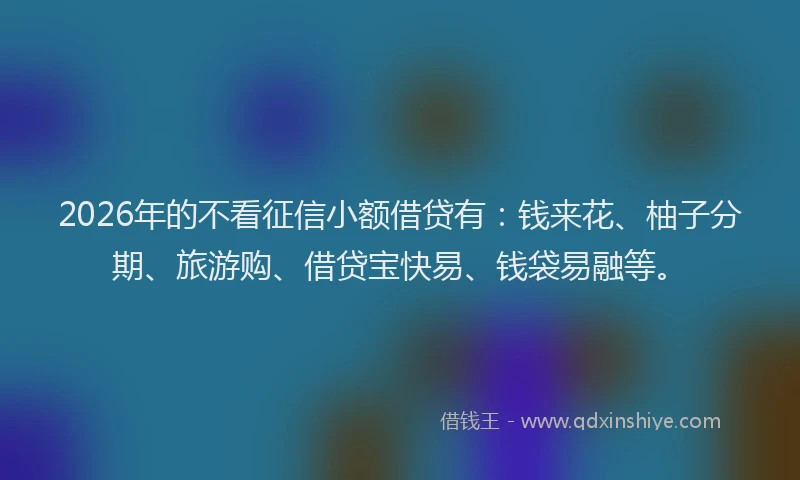2026年的不看征信小额借贷有：钱来花、柚子分期、旅游购、借贷宝快易、钱袋易融等。
