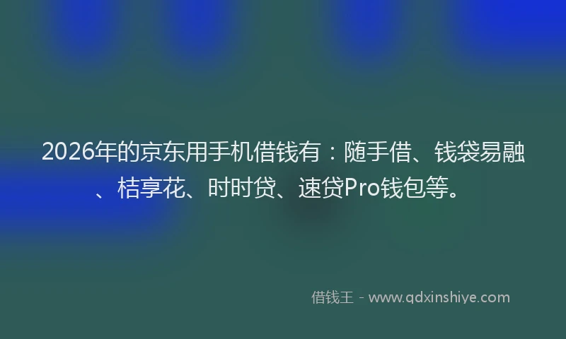 2026年的京东用手机借钱有：随手借、钱袋易融、桔享花、时时贷、速贷Pro钱包等。