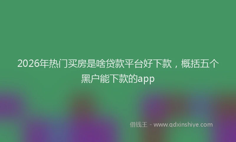 2026年热门买房是啥贷款平台好下款，概括五个黑户能下款的app