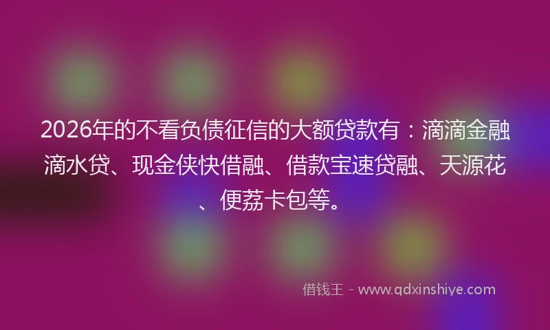 2026年的不看负债征信的大额贷款有：滴滴金融滴水贷、现金侠快借融、借款宝速贷融、天源花、便荔卡包等。