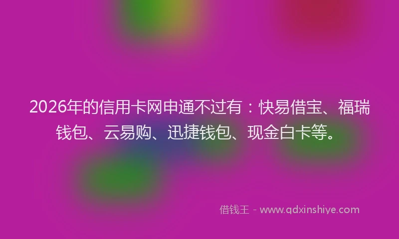 2026年的信用卡网申通不过有：快易借宝、福瑞钱包、云易购、迅捷钱包、现金白卡等。
