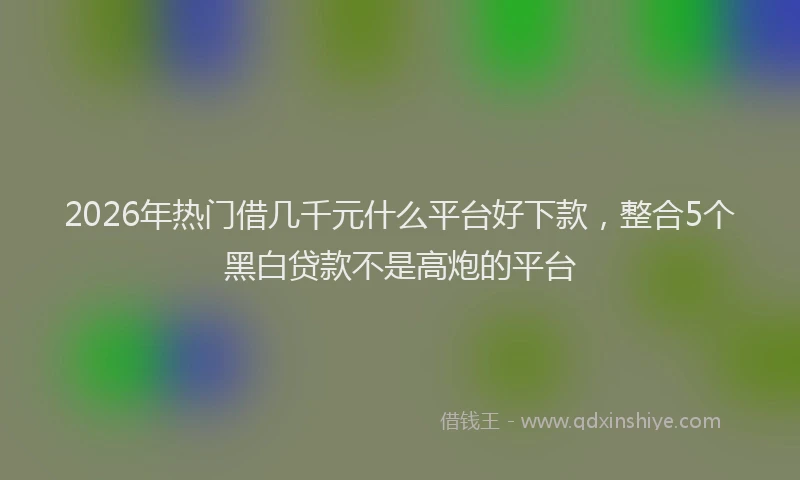 2026年热门借几千元什么平台好下款，整合5个黑白贷款不是高炮的平台