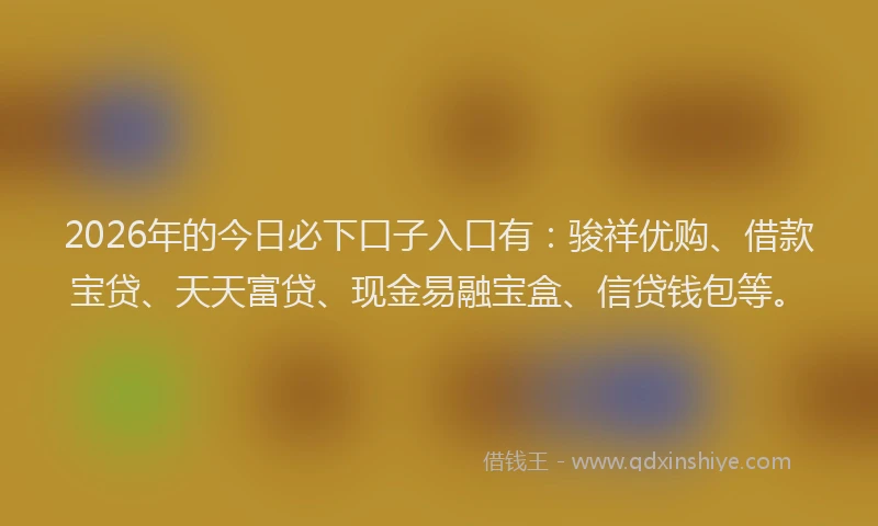 2026年的今日必下口子入口有：骏祥优购、借款宝贷、天天富贷、现金易融宝盒、信贷钱包等。