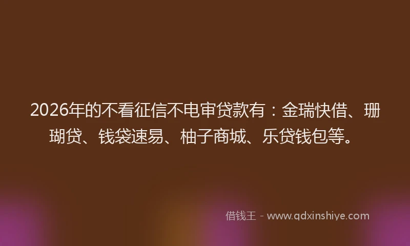 2026年的不看征信不电审贷款有：金瑞快借、珊瑚贷、钱袋速易、柚子商城、乐贷钱包等。
