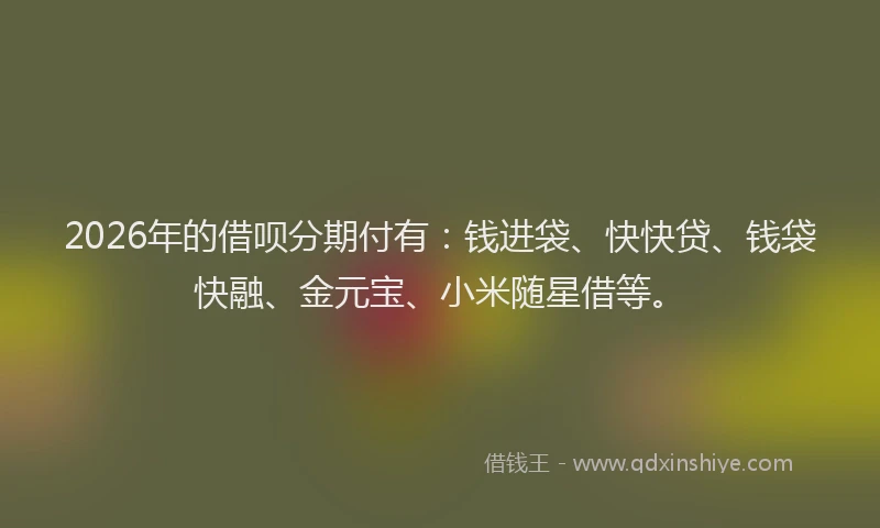 2026年的借呗分期付有：钱进袋、快快贷、钱袋快融、金元宝、小米随星借等。