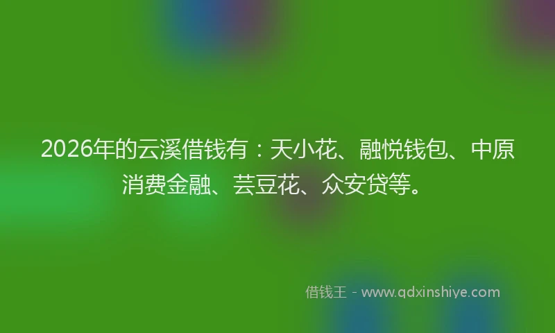 2026年的云溪借钱有：天小花、融悦钱包、中原消费金融、芸豆花、众安贷等。