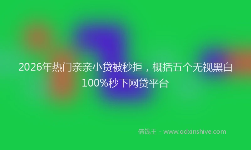2026年热门亲亲小贷被秒拒，概括五个无视黑白100%秒下网贷平台