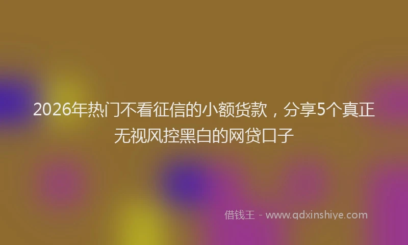 2026年热门不看征信的小额货款，分享5个真正无视风控黑白的网贷口子