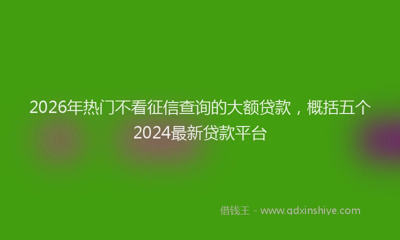 2026年热门不看征信查询的大额贷款，概括五个2024最新贷款平台