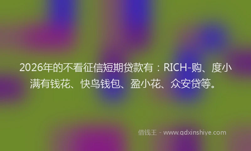 2026年的不看征信短期贷款有：RICH-购、度小满有钱花、快鸟钱包、盈小花、众安贷等。