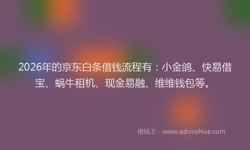 2026年的京东白条借钱流程有：小金鸽、快易借宝、蜗牛租机、现金易融、维维钱包等。