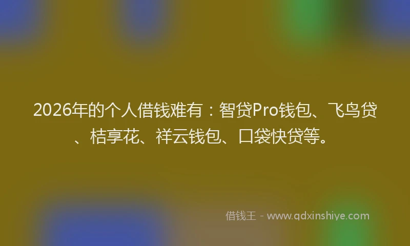 2026年的个人借钱难有：智贷Pro钱包、飞鸟贷、桔享花、祥云钱包、口袋快贷等。