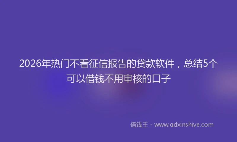 2026年热门不看征信报告的贷款软件，总结5个可以借钱不用审核的口子