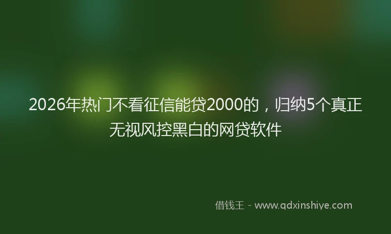2026年热门不看征信能贷2000的，归纳5个真正无视风控黑白的网贷软件