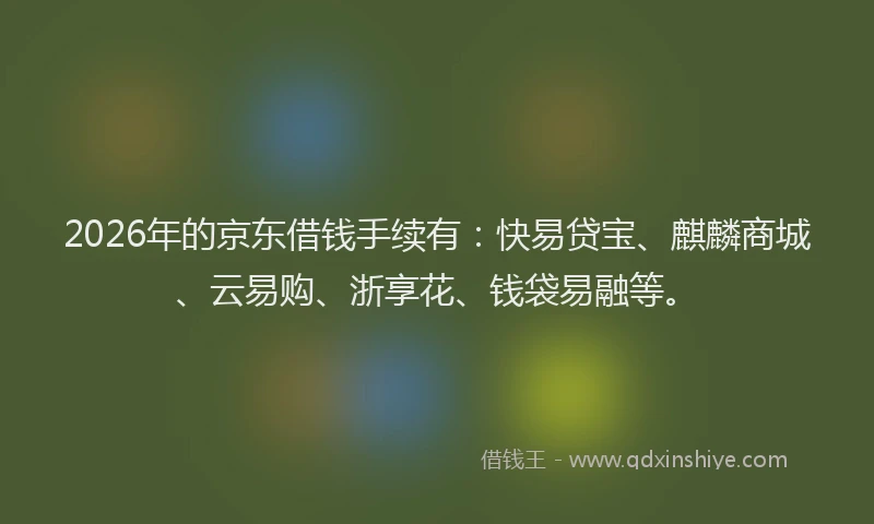 2026年的京东借钱手续有：快易贷宝、麒麟商城、云易购、浙享花、钱袋易融等。