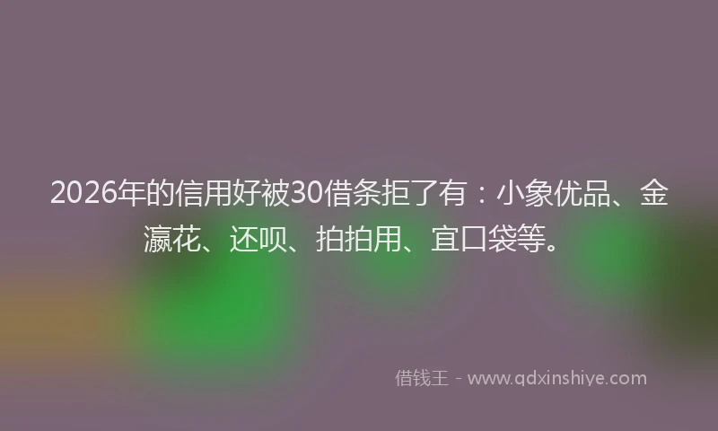 2026年的信用好被30借条拒了有：小象优品、金瀛花、还呗、拍拍用、宜口袋等。