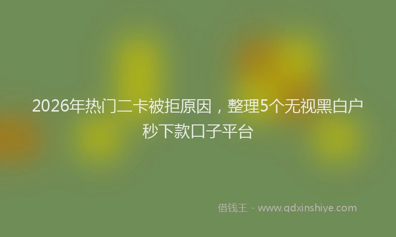 2026年热门二卡被拒原因，整理5个无视黑白户秒下款口子平台