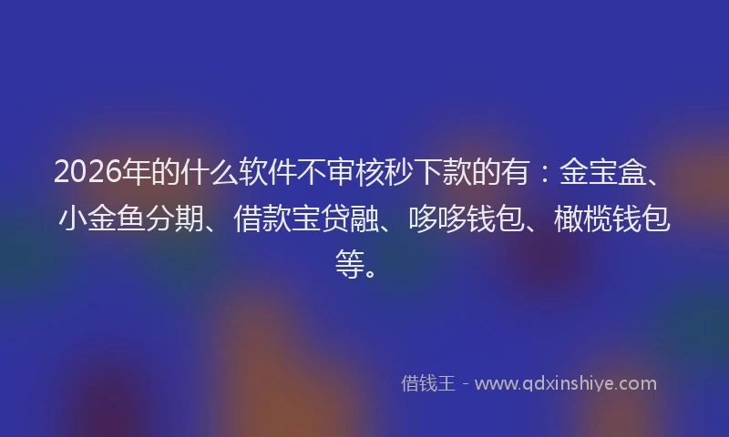 2026年的什么软件不审核秒下款的有：金宝盒、小金鱼分期、借款宝贷融、哆哆钱包、橄榄钱包等。