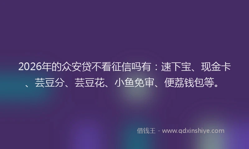 2026年的众安贷不看征信吗有：速下宝、现金卡、芸豆分、芸豆花、小鱼免审、便荔钱包等。