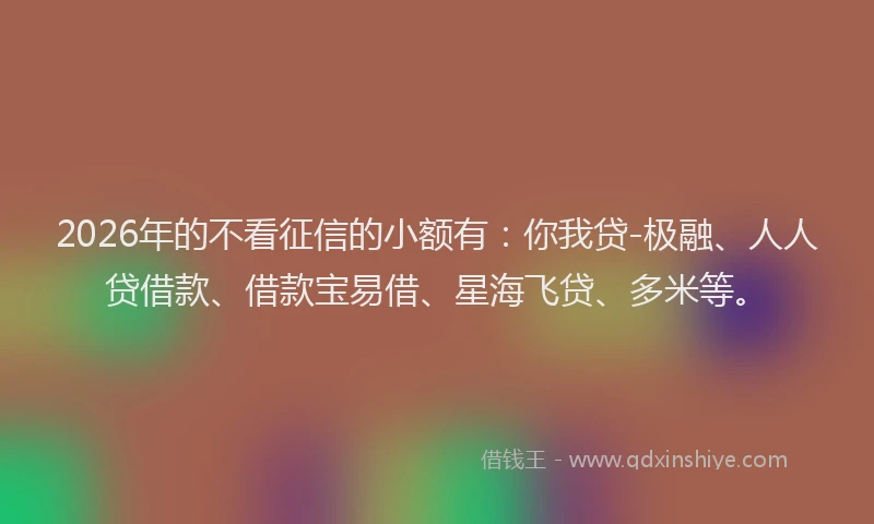 2026年的不看征信的小额有：你我贷-极融、人人贷借款、借款宝易借、星海飞贷、多米等。