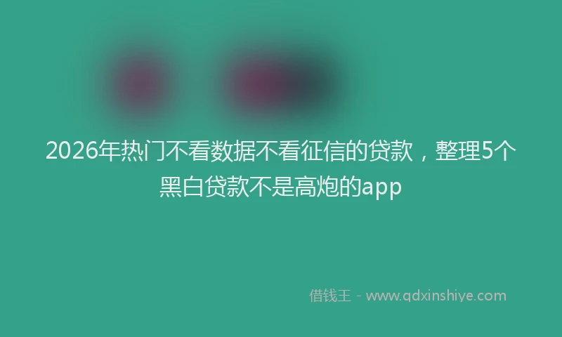 2026年热门不看数据不看征信的贷款，整理5个黑白贷款不是高炮的app