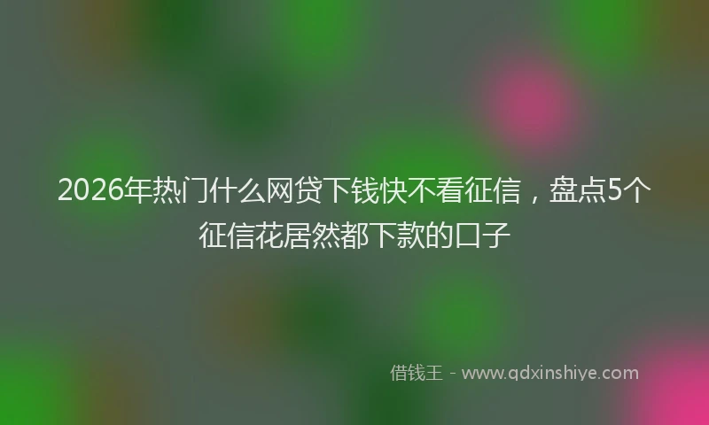 2026年热门什么网贷下钱快不看征信，盘点5个征信花居然都下款的口子