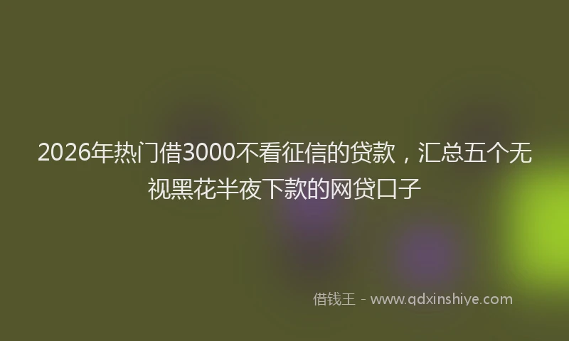 2026年热门借3000不看征信的贷款，汇总五个无视黑花半夜下款的网贷口子