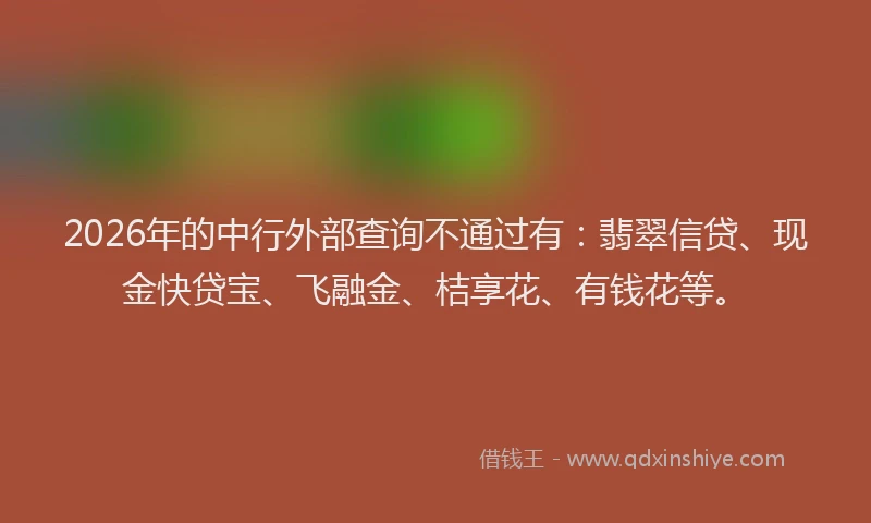 2026年的中行外部查询不通过有：翡翠信贷、现金快贷宝、飞融金、桔享花、有钱花等。